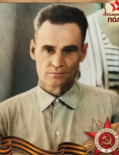 Шамин Николай Петрович