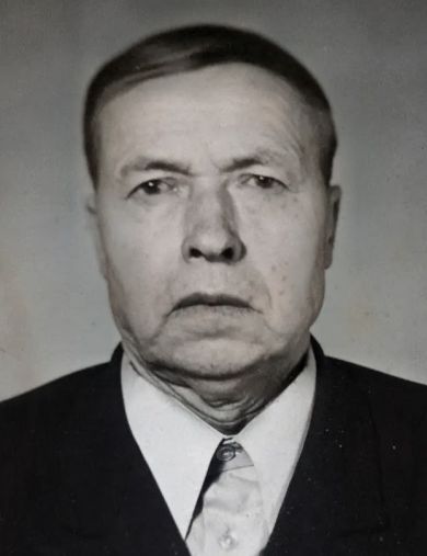 Дружицкий Владимир Иванович