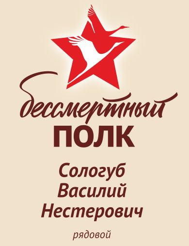 Сологуб Василий Нестерович