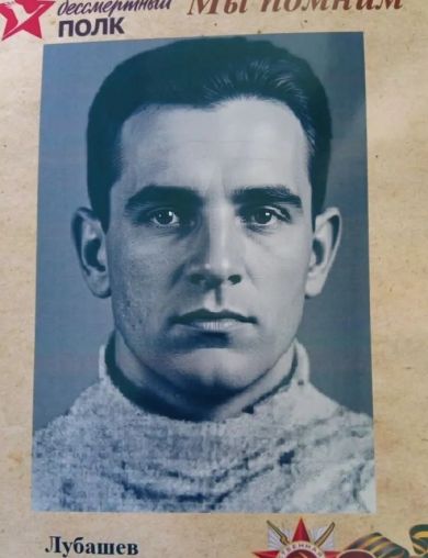 Лубашев Владимир Степанович