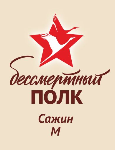 Сажин М 