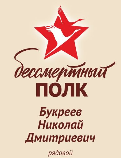 Букреев Николай Дмитриевич