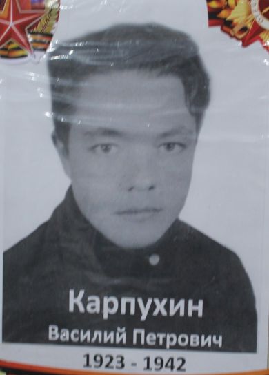 Карпухин Василий Петрович