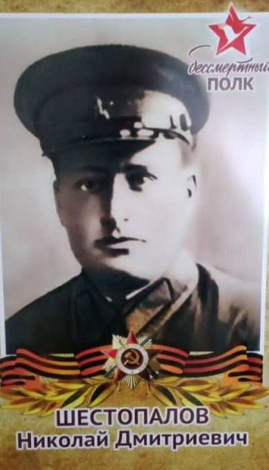 Шестопалов Николай Дмитриевич