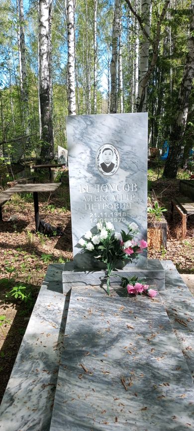 Белоусов Александр Петрович