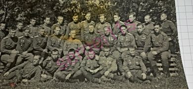 Шишкин, Сильванский