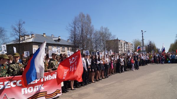 Минометный полк в годы вов штат