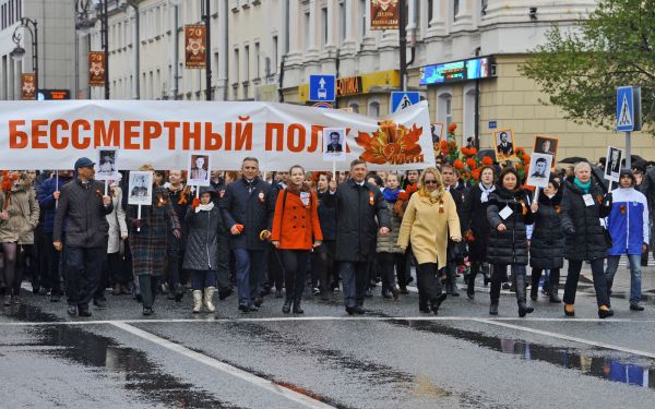 Бессмертный полк я ищу