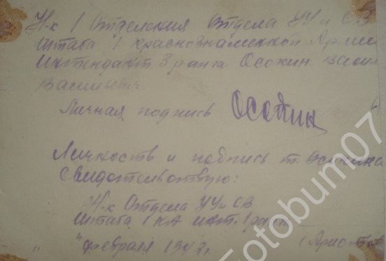 Осокин Василий Васильевич